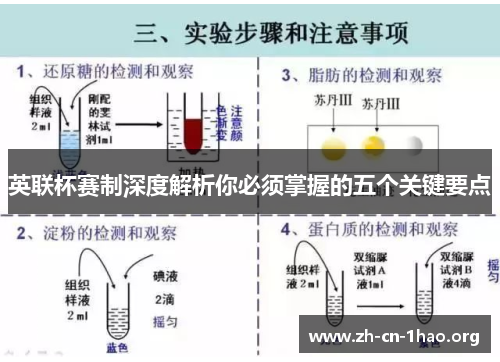 英联杯赛制深度解析你必须掌握的五个关键要点