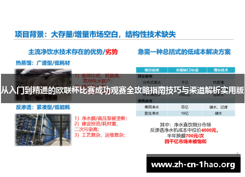 从入门到精通的欧联杯比赛成功观赛全攻略指南技巧与渠道解析实用版